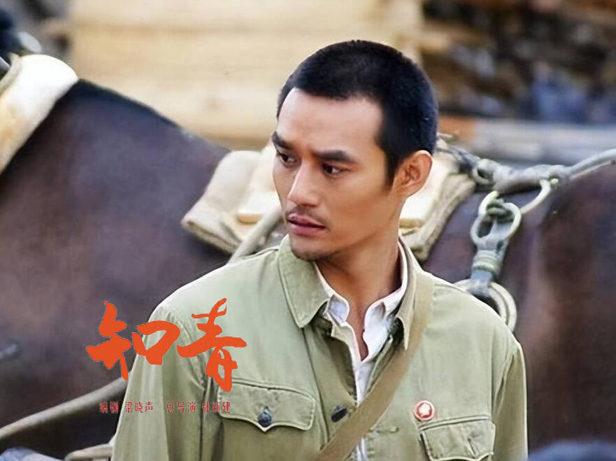 梁晓声《知青》播出十年 15位男星变化大 王凯成顶流 唐曾凭新剧翻红