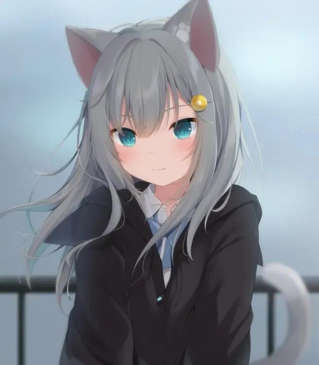动漫美少女猫娘《猫羽雫》
