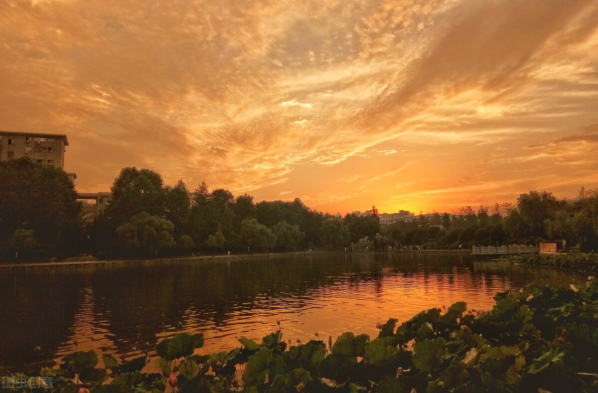 预算20亿以上，才是好普本！7所宝藏大学千万别错过