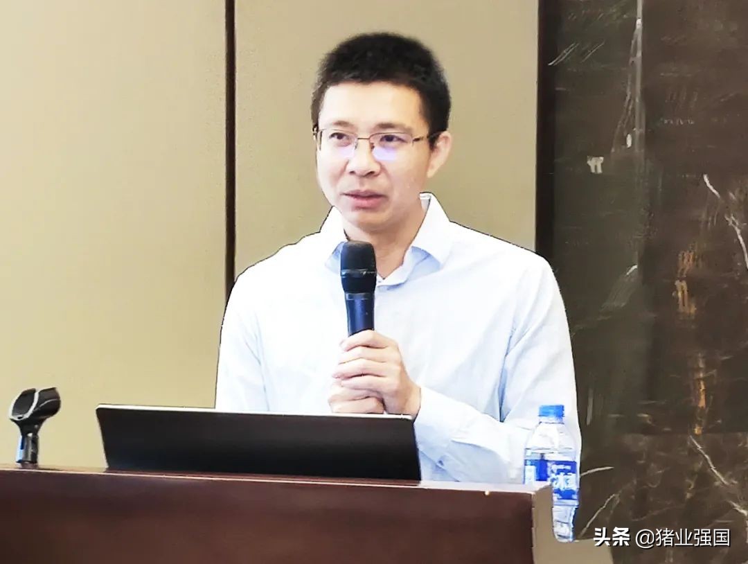 广东能繁母猪存栏188万头！一季度前10名生猪企业出栏量达到310.37万头