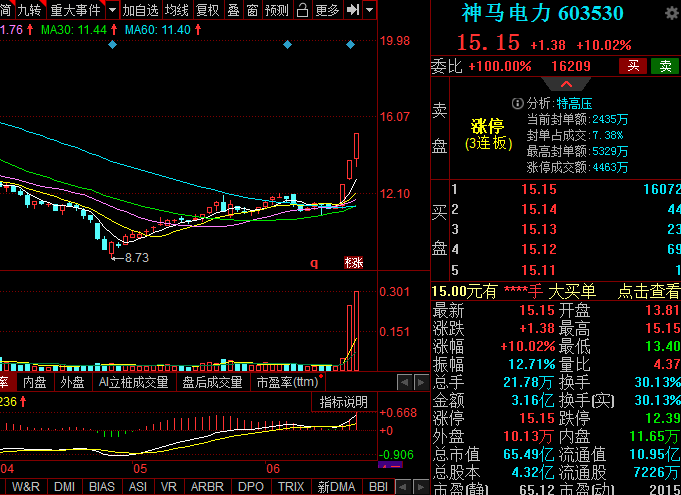 浙江世宝、极泰股份、神马电力、深南电A，谁才是A股的连板之王？