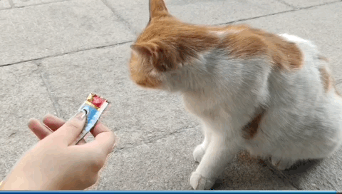 最伟大的作品？也许藏在这里……