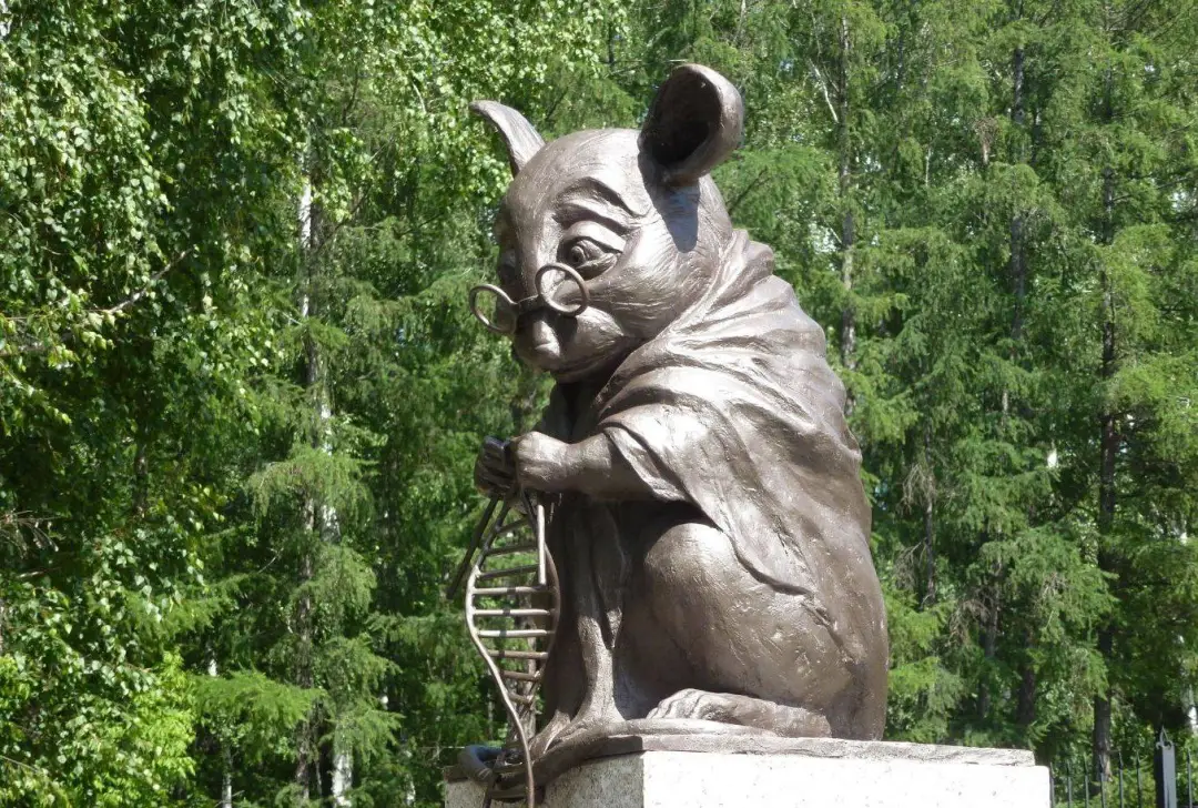 马斯克公司回应残忍虐猴,动物实验什么时候是个头?