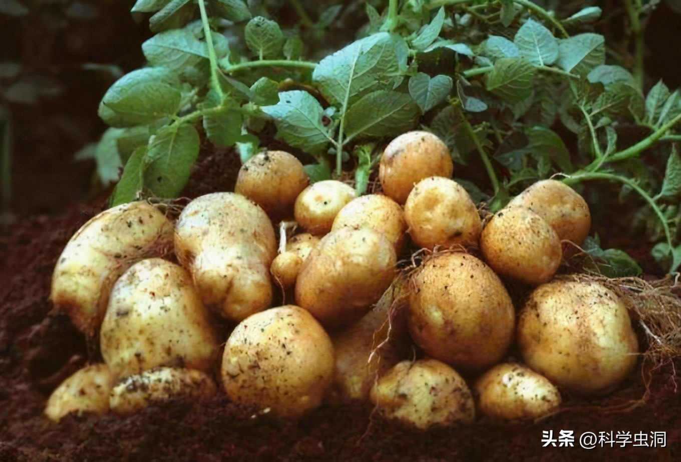 (shi)ʲôʱй(guo)ģʲôʱйӢ(wen)-20ͼƬ-Ʊ֪(zhi)ʶѧϰ