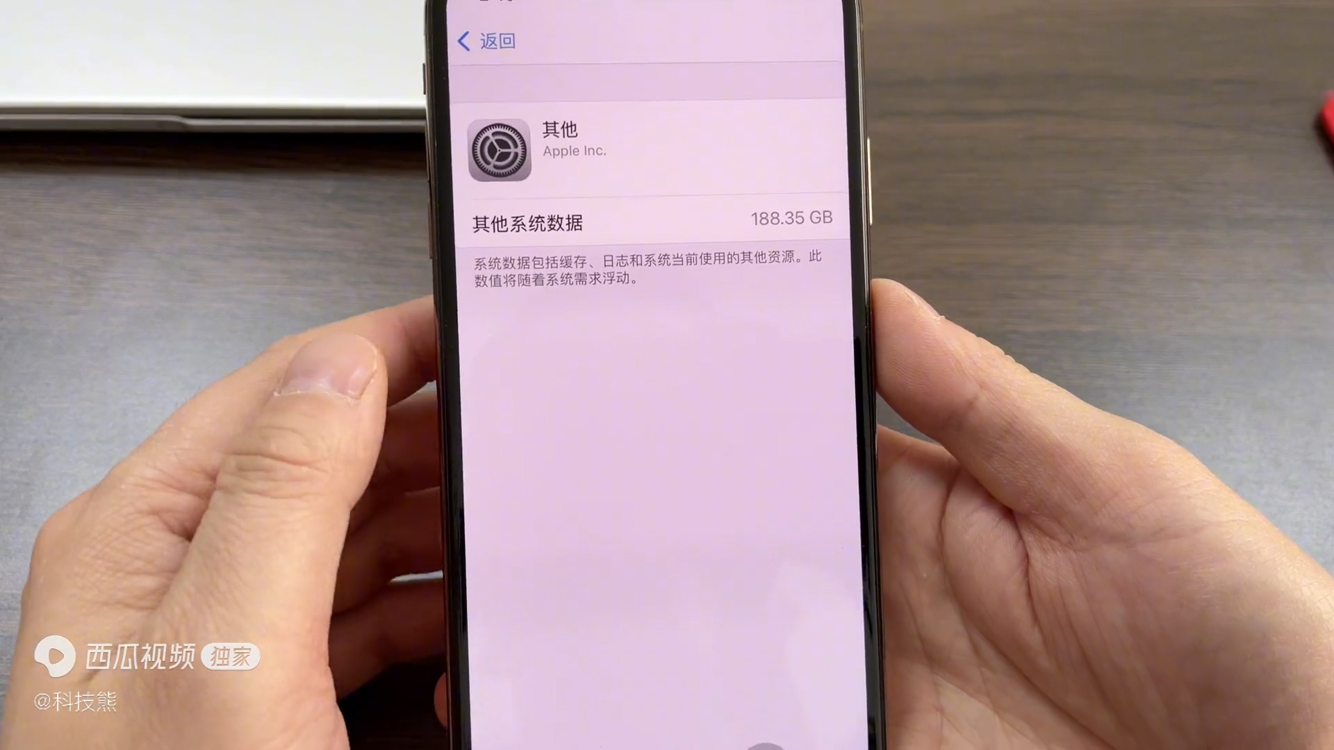 苹果手机垃圾怎么清理掉（苹果手机垃圾短信怎么屏蔽接收）-第3张图片-科灵网