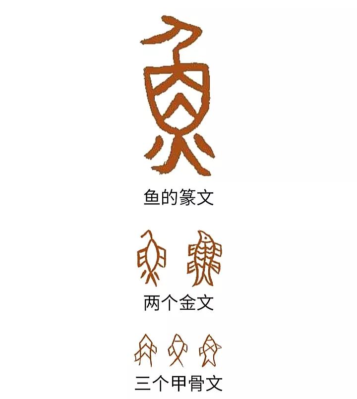 白鱼解字鱼及捕鱼养鱼