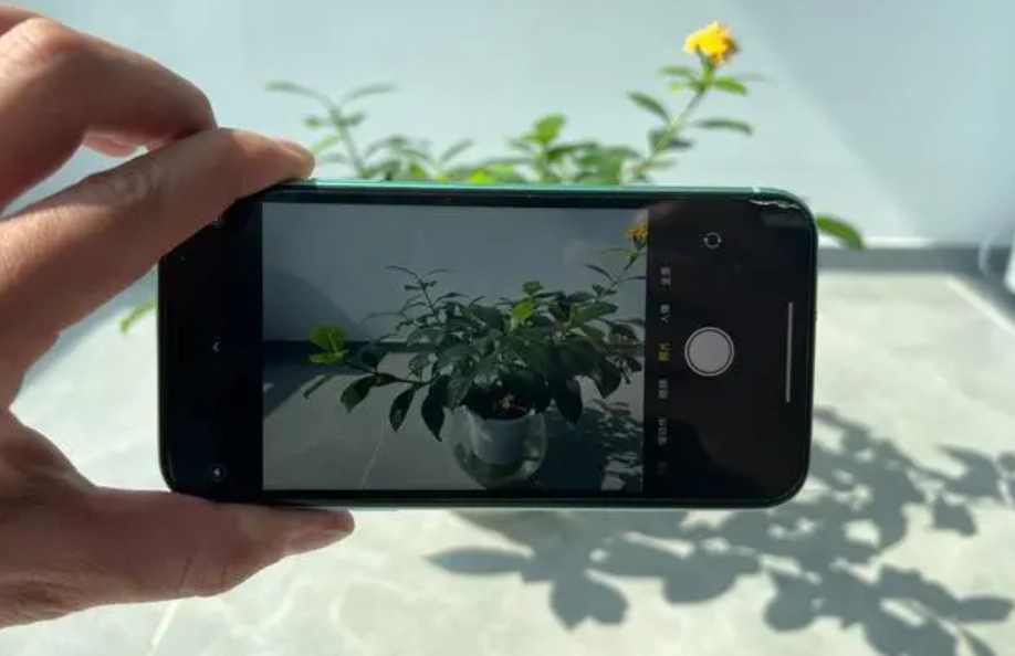 iphone11ףiphone11׿ף-ʳƷе