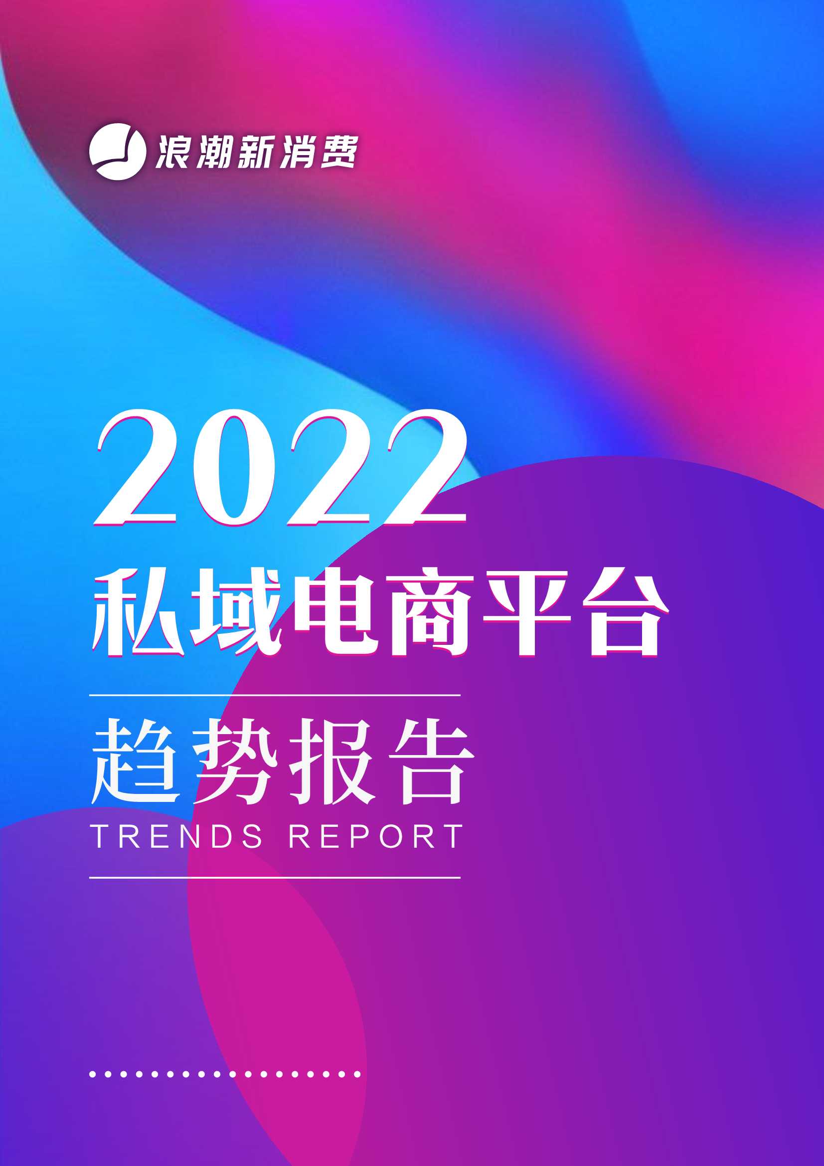 2022私域电商平台趋势报告（浪潮新消费）