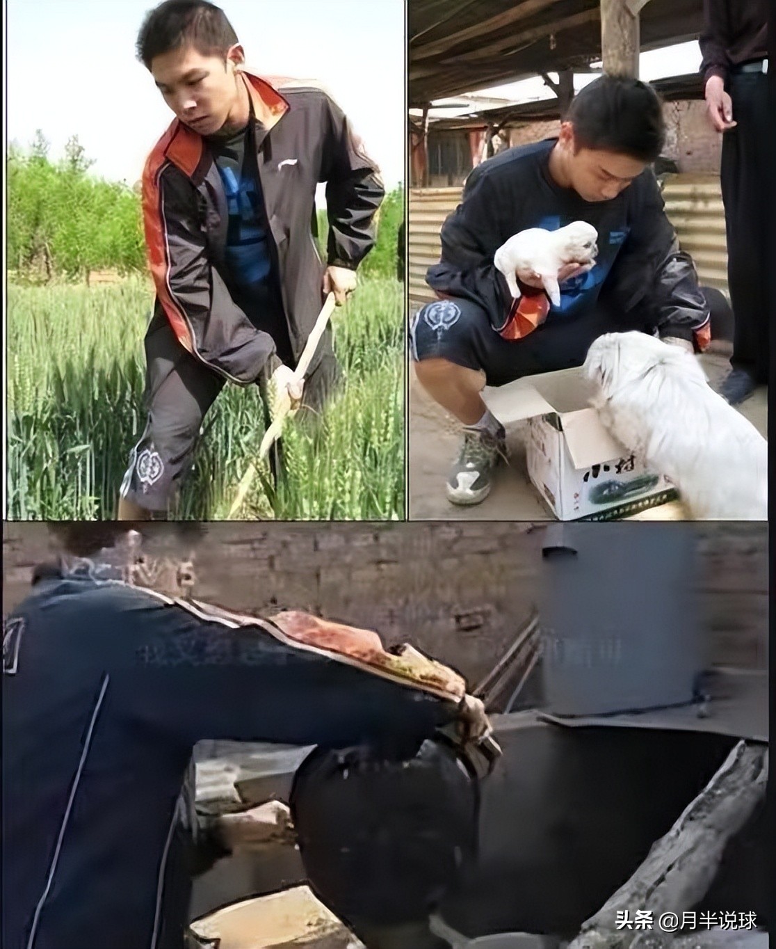 体育故事：输球摔拍子、踢凳子泄愤，奥运冠军陈玘被送到农村养猪