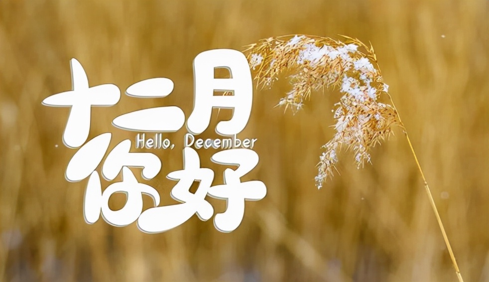 十二月你好：寒风起，岁将暮，愿心暖如初，静待花开迎新年