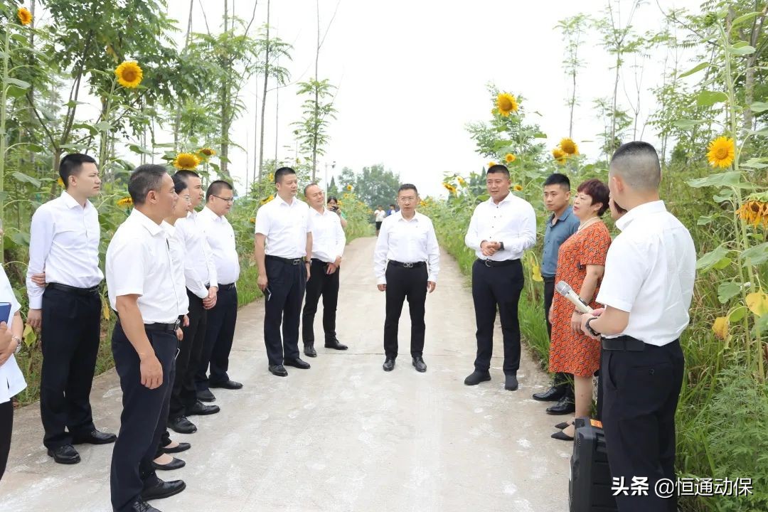 �Ĵ���ͨ�����Ÿ������커��ҵ�����罻��ѧϰ