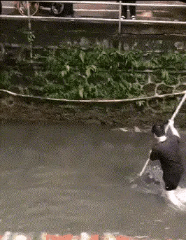 神回复：下次再听到钱难挣、屎难吃，就知道怎么回复了