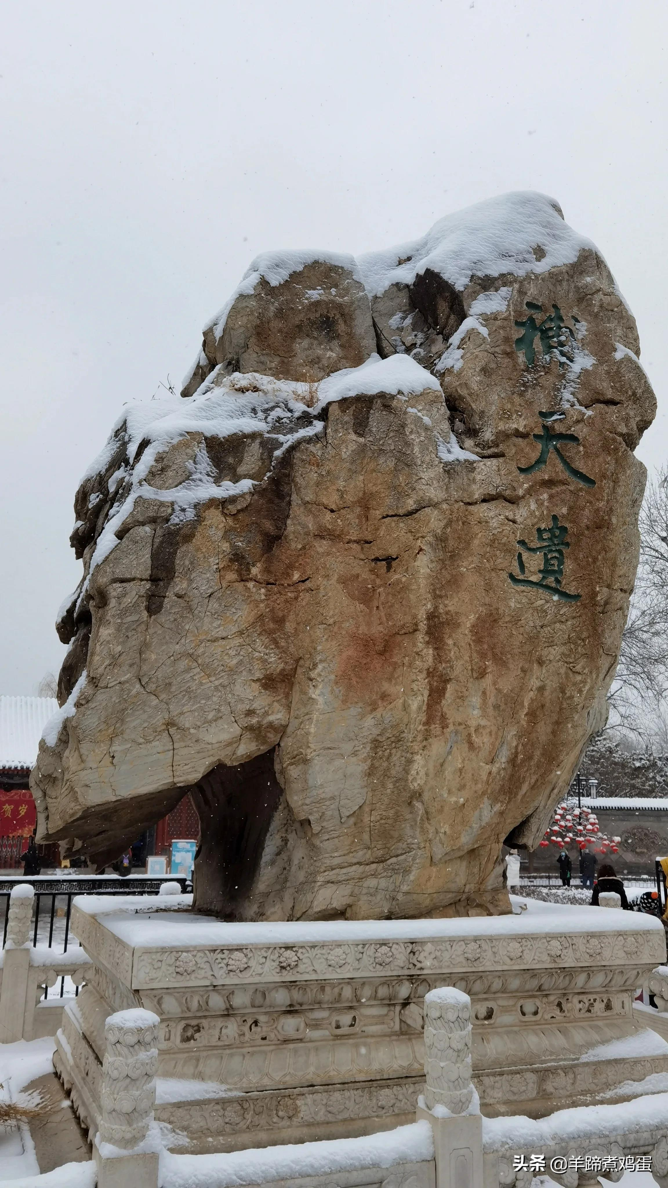 难览观园全画景雪覆腊梅一隅香——踏雪寻游北京大观园