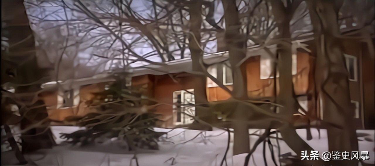 1988年，美国女按摩师失踪，疑犯母亲一句大骂，让李昌钰找到线索