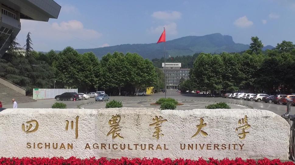 四川排名前五的大学，川大实至名归，四川农大令人遗憾