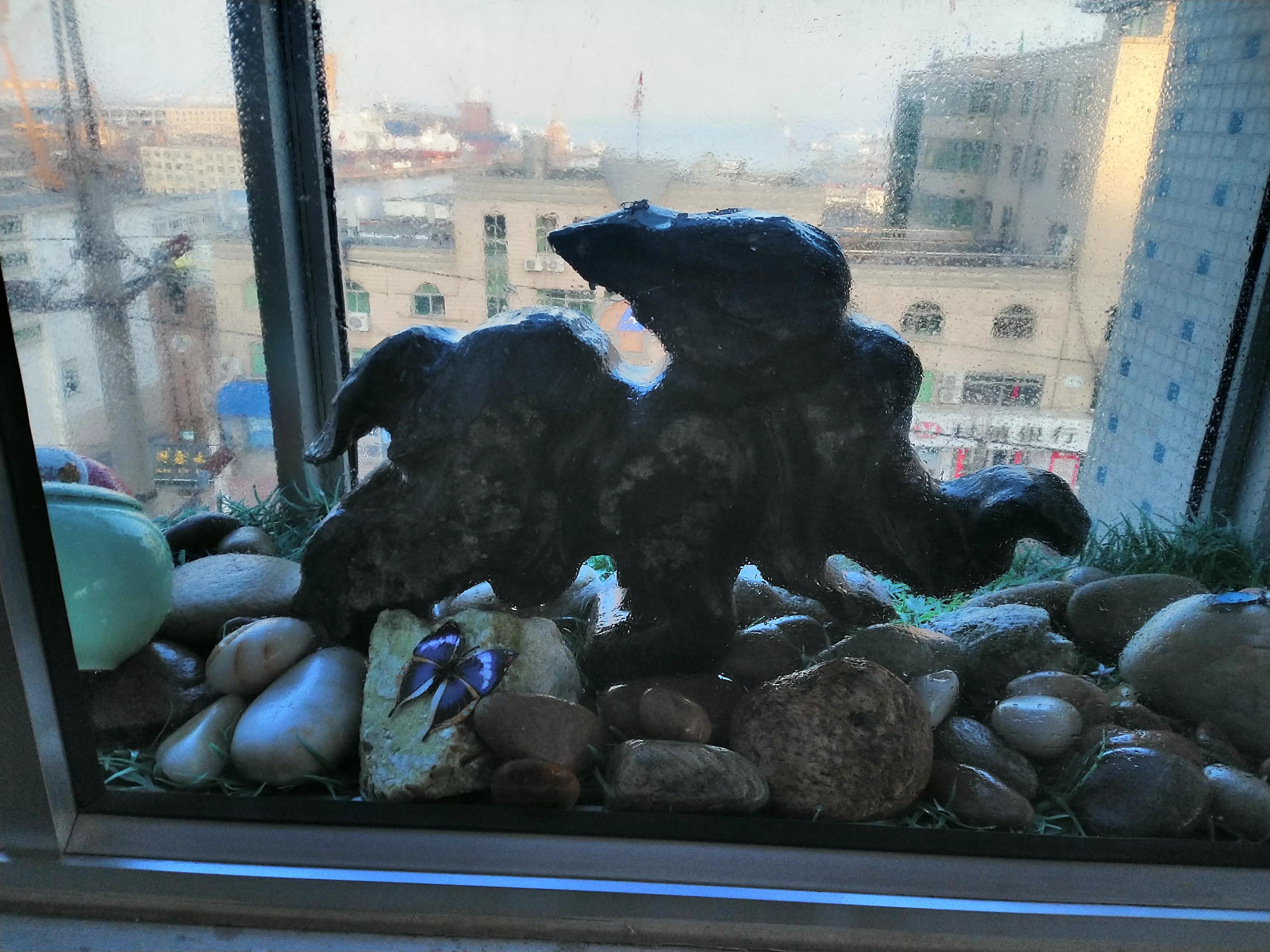 谈律师个人的收入