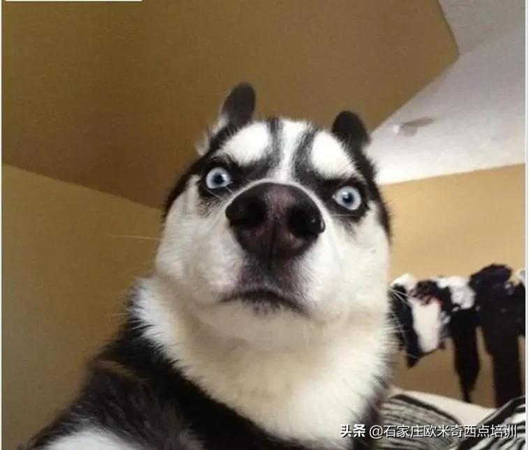 别随随便便说我们学费贵好吗？看完这5条再下结论喽