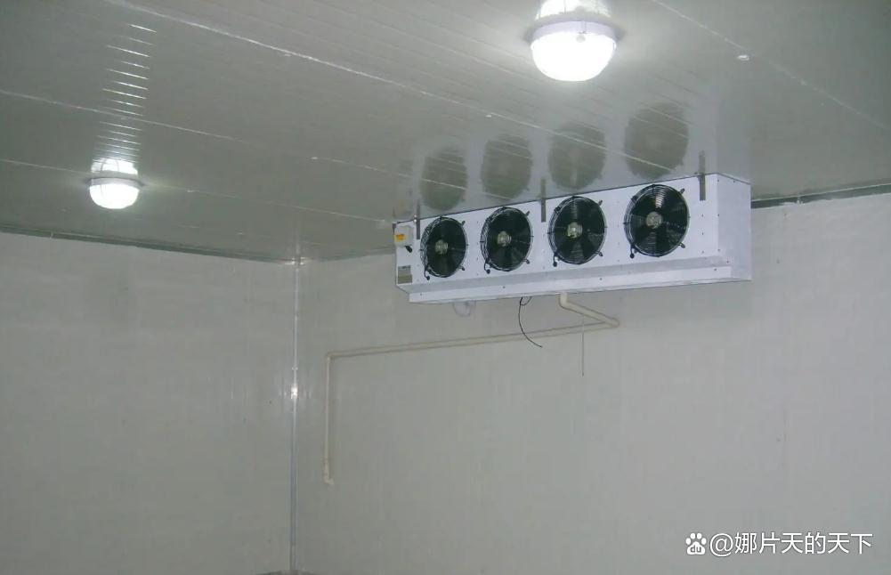 安装冷库，怎么选择正规专业的冷库安装公司？冰雪制冷省时，省力