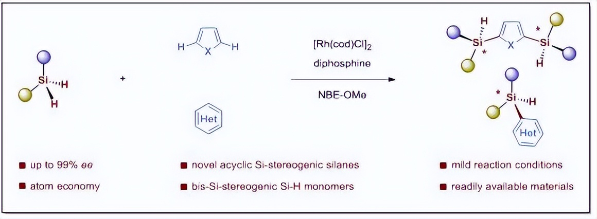 南科大何川课题组在构建功能化手性硅化物领域取得新进展