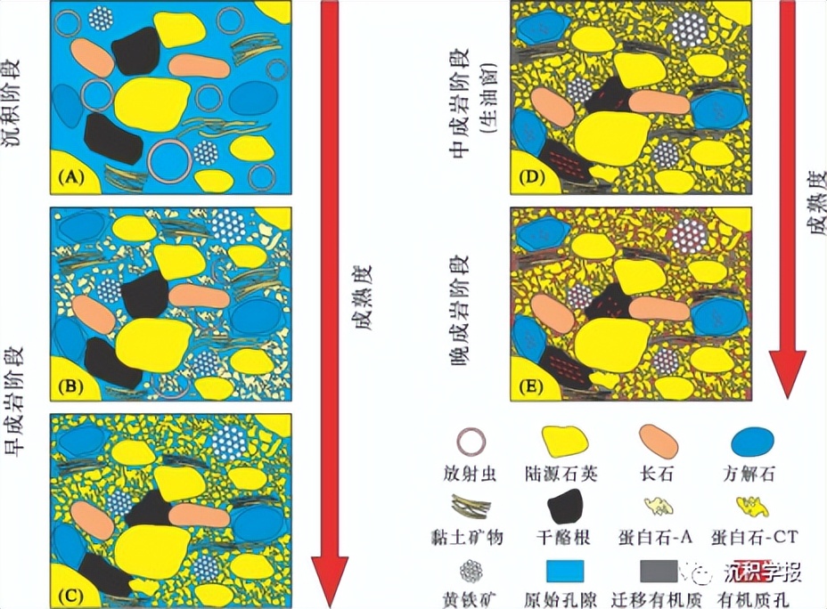 赵建华、金之钧：泥岩成岩作用研究进展与展望
