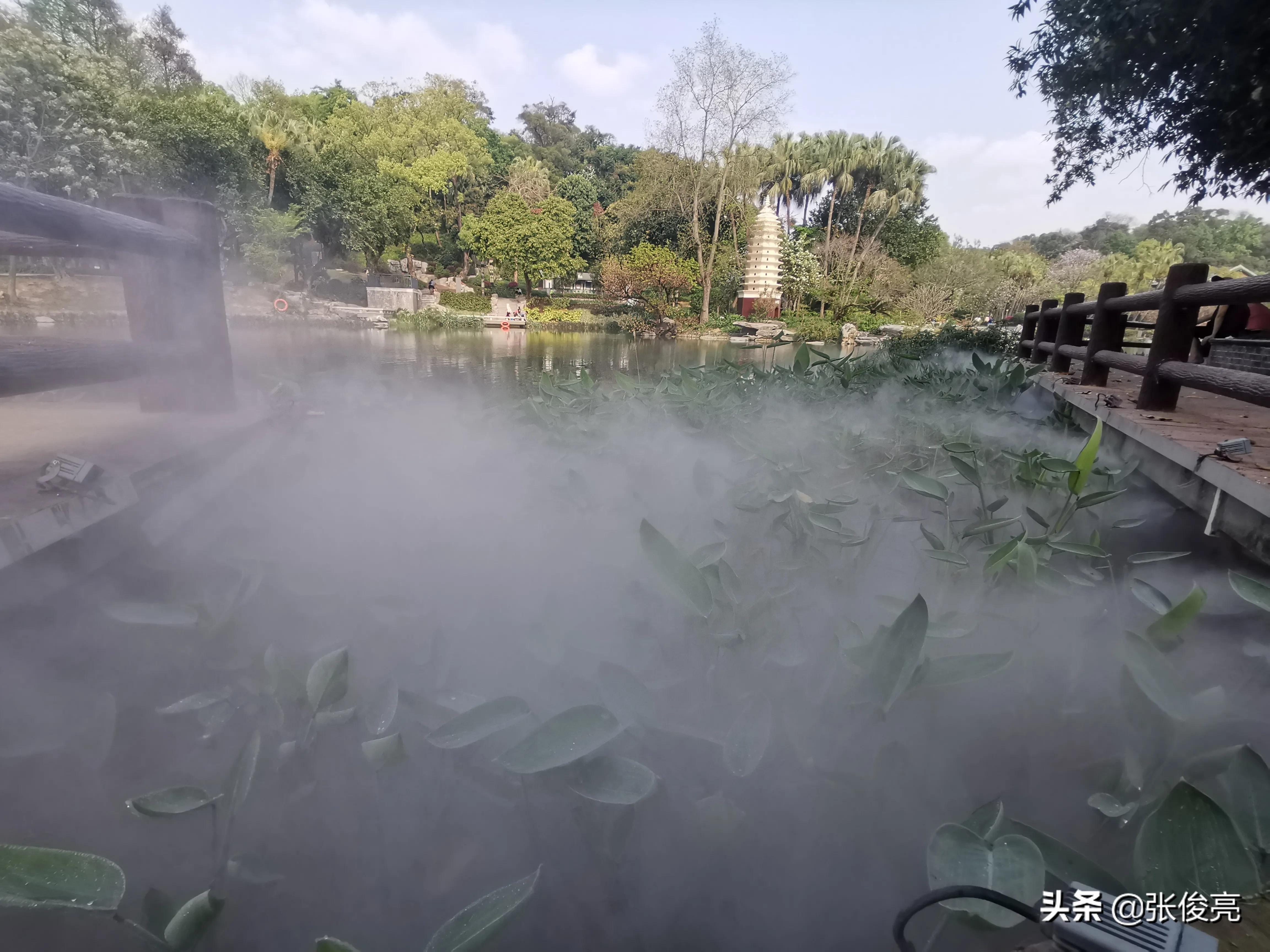 道德经之五十九——长生之道