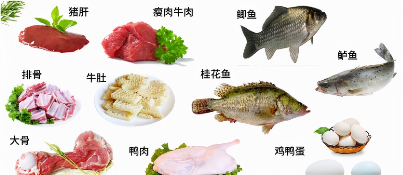 癌症治疗期白细胞低，史上超全面家庭应对方法，家属需知