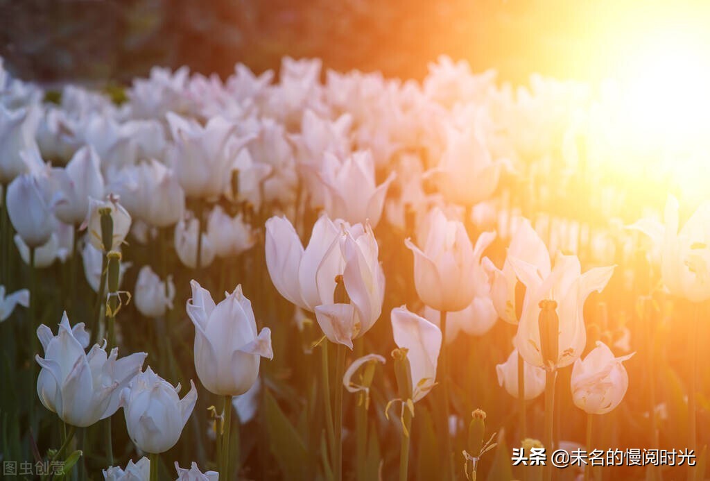 “李佳琦停播23天”：他不是败给了同行，只是不再被需要