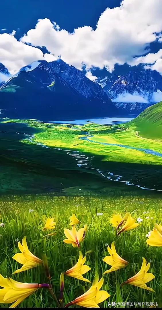 写景的句子优美段落摘抄(赞美大自然美景的优美诗句段落) _力贝号