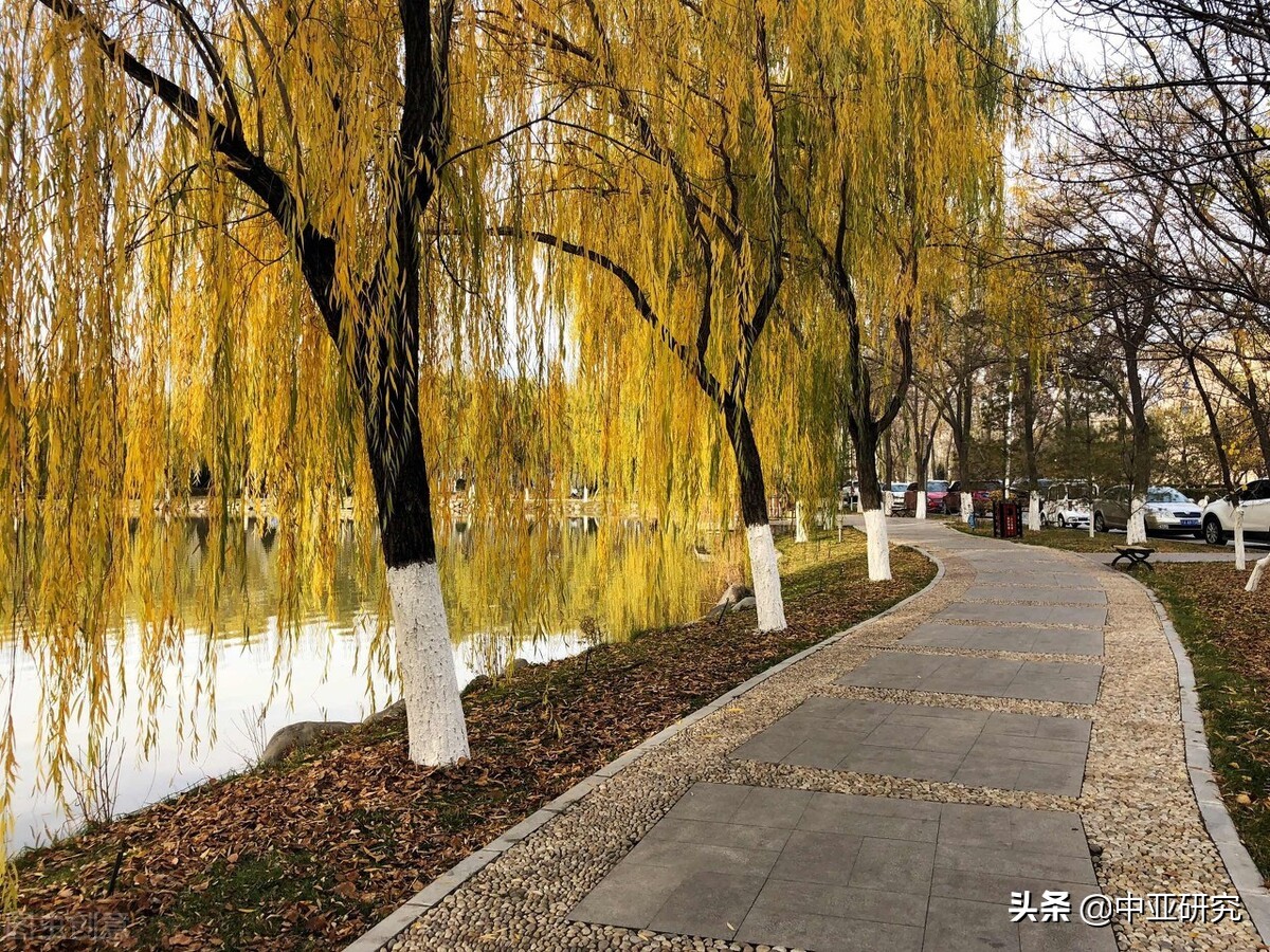 北方民族大学2022年硕士研究生调剂公告（二）