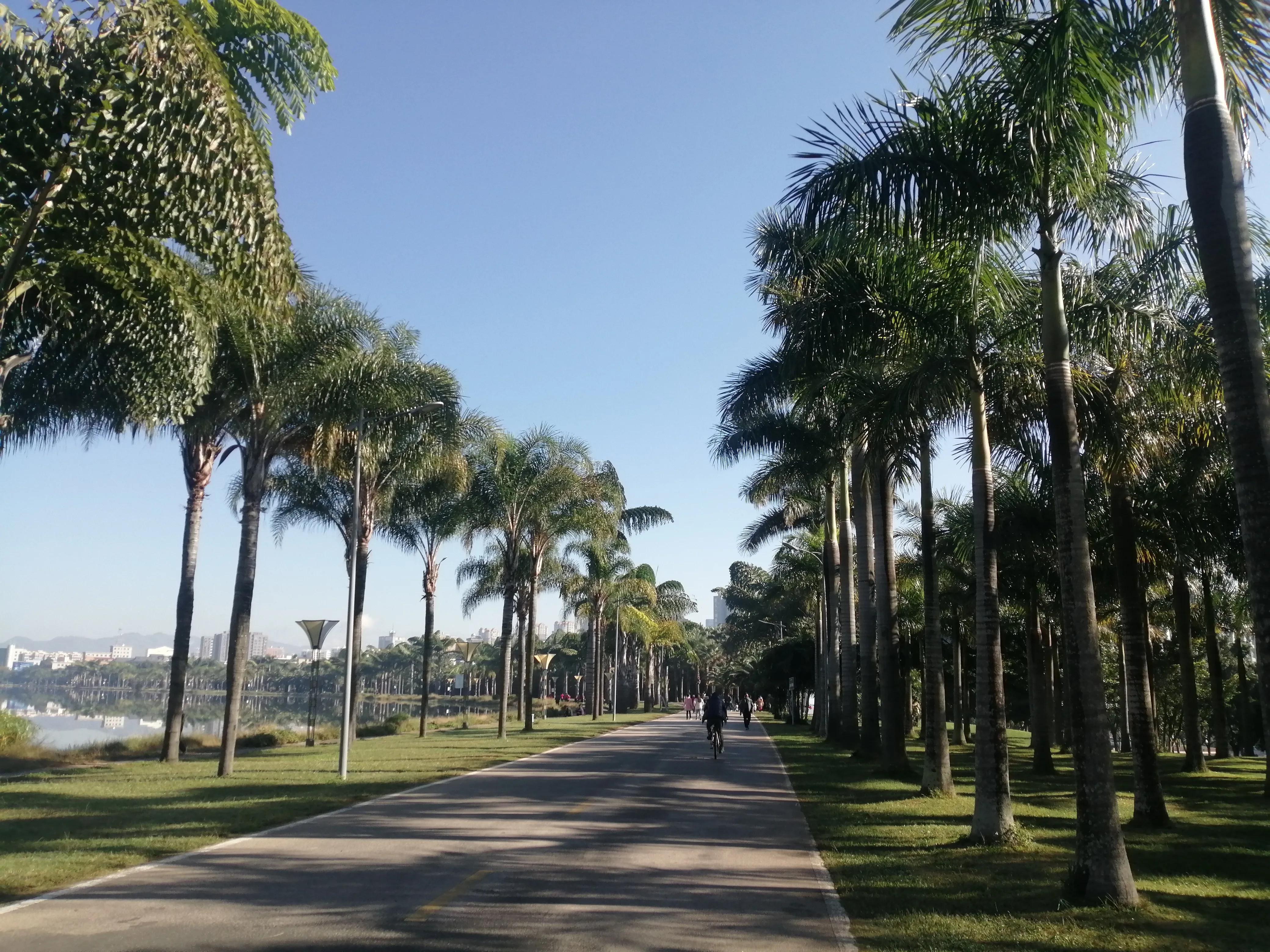 我的人生不精彩，包括旅行，你呢？