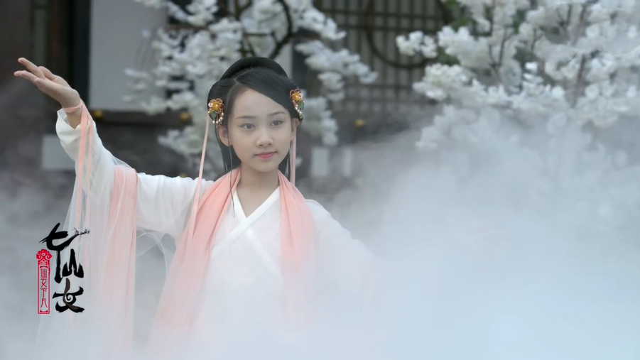 小戏骨七仙女全集免费观看(还记得演《红楼梦》的那群"小戏骨"吗?