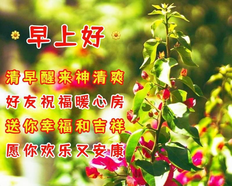 周一早安祝福语，唯美暖心，选一句问候朋友