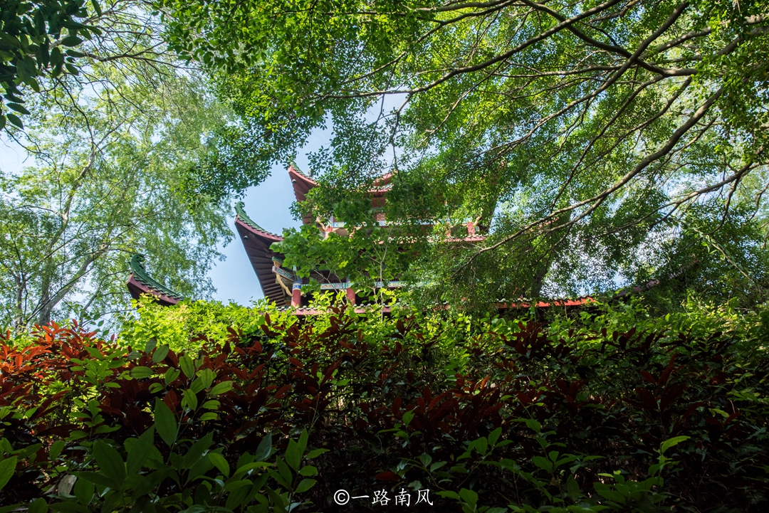 从深圳出发，最快1时48分到达赣州，这些旅游胜地非常值得打卡