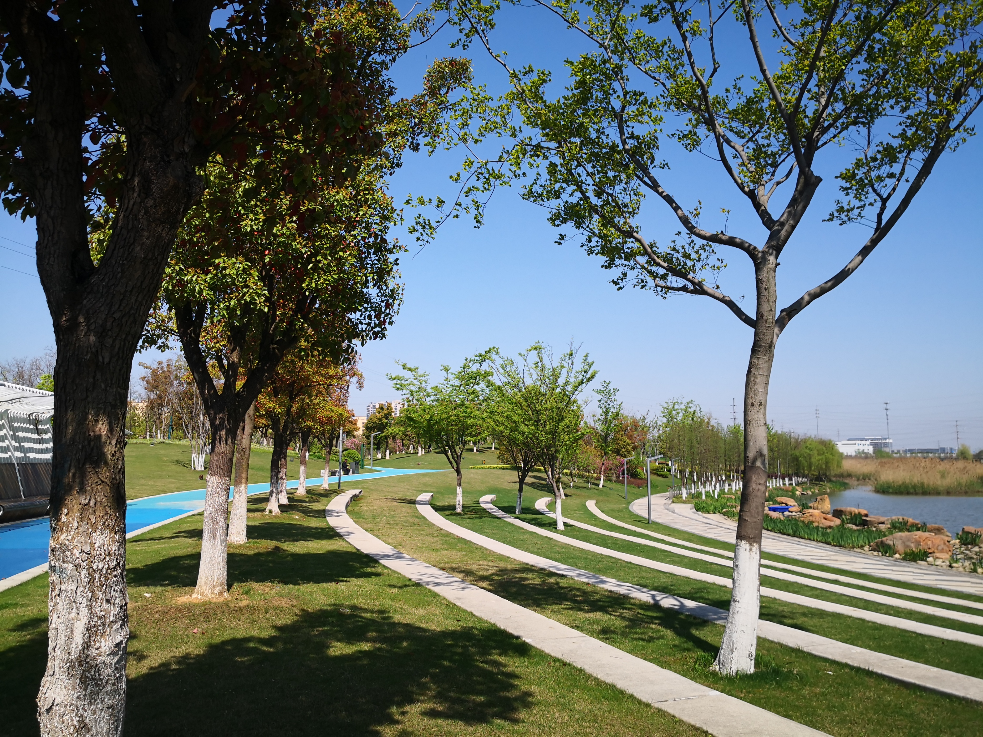 三江口公園是一個生態,休閒,娛樂,運動,健身集於一體的生態運動公園.