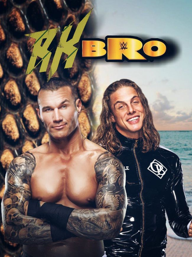 wwe巨星有哪些（盘点2021年摔角界十大WWE巨星，“大狗”罗曼·雷恩斯领衔）