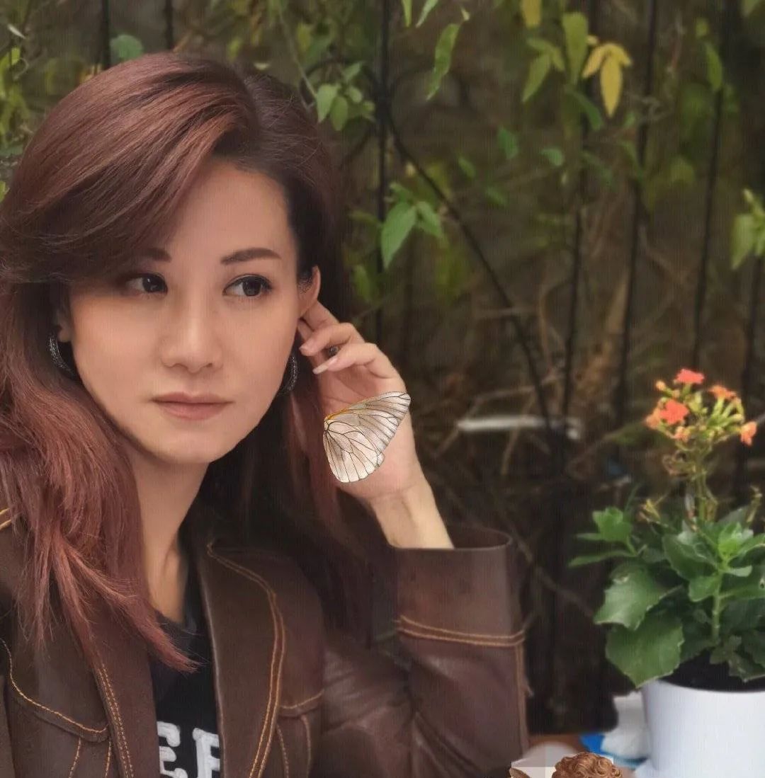 陈滢解说(陈滢解说员)