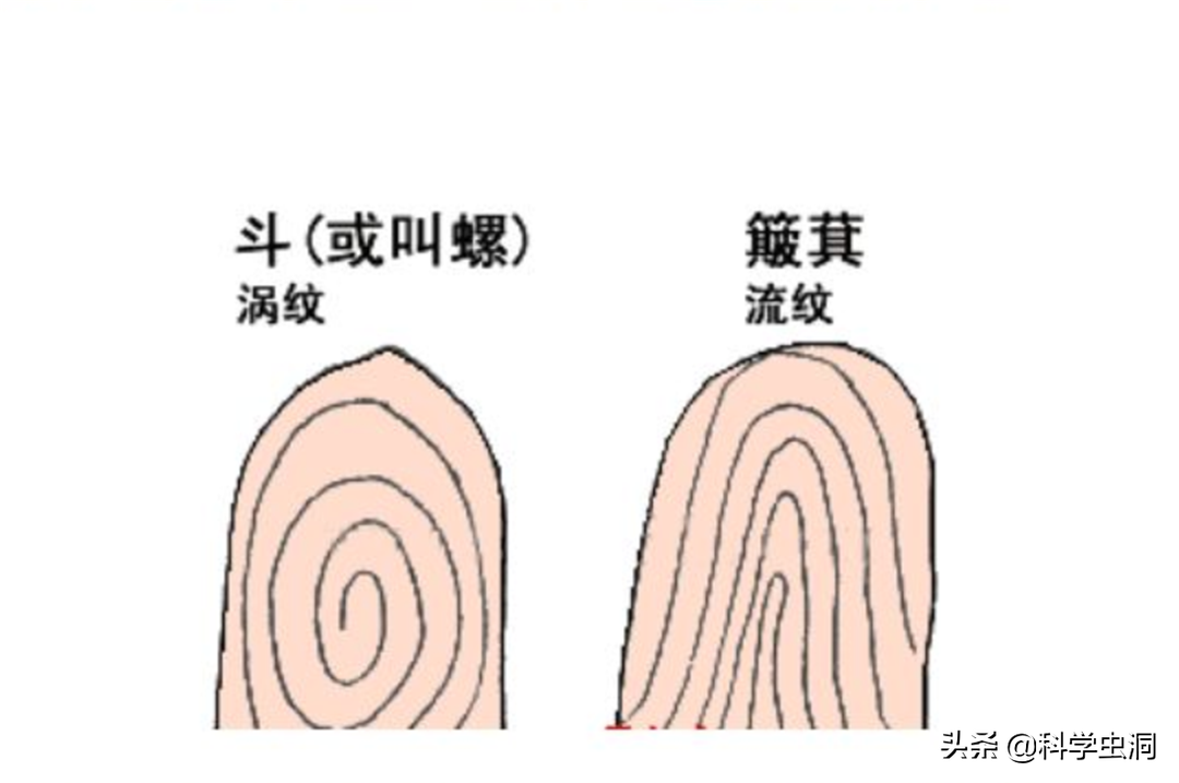 一斗穷、二斗富？康熙10个“簸箕”，科学家发现斗与簸箕的奥秘