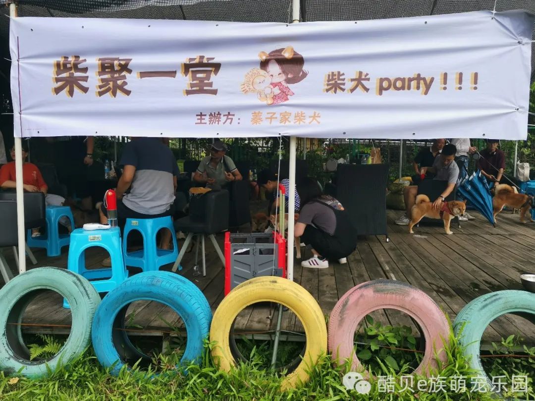 宠爱有家 夏日派对丨酷贝E族
