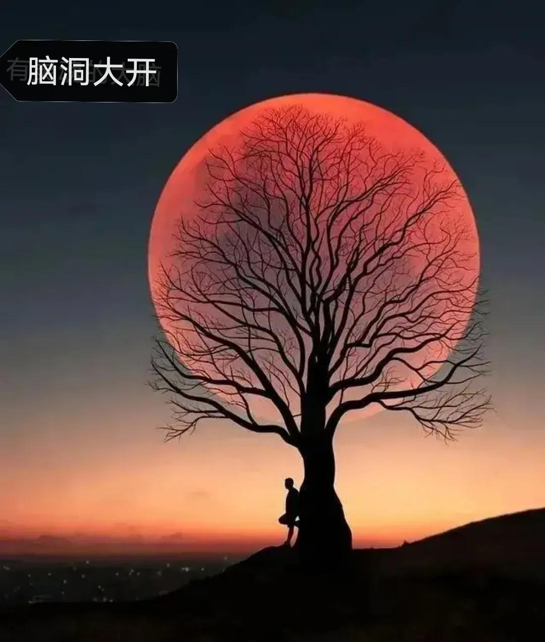 光与影的完美契合，守着夕阳，守望美好生活