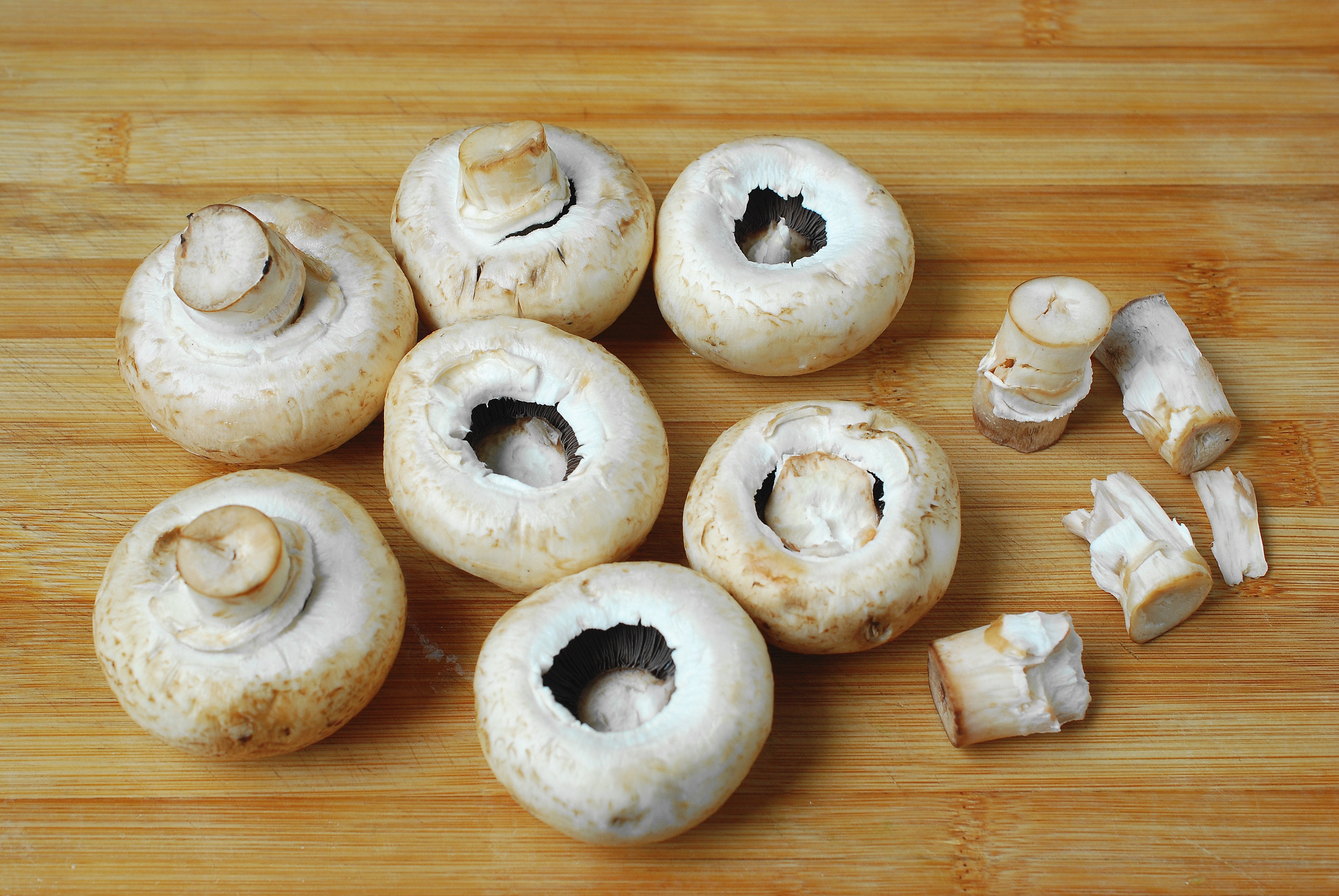 口蘑是什么(活了50年,头一次见口蘑这种吃法,真新鲜,比鲍鱼还鲜美)