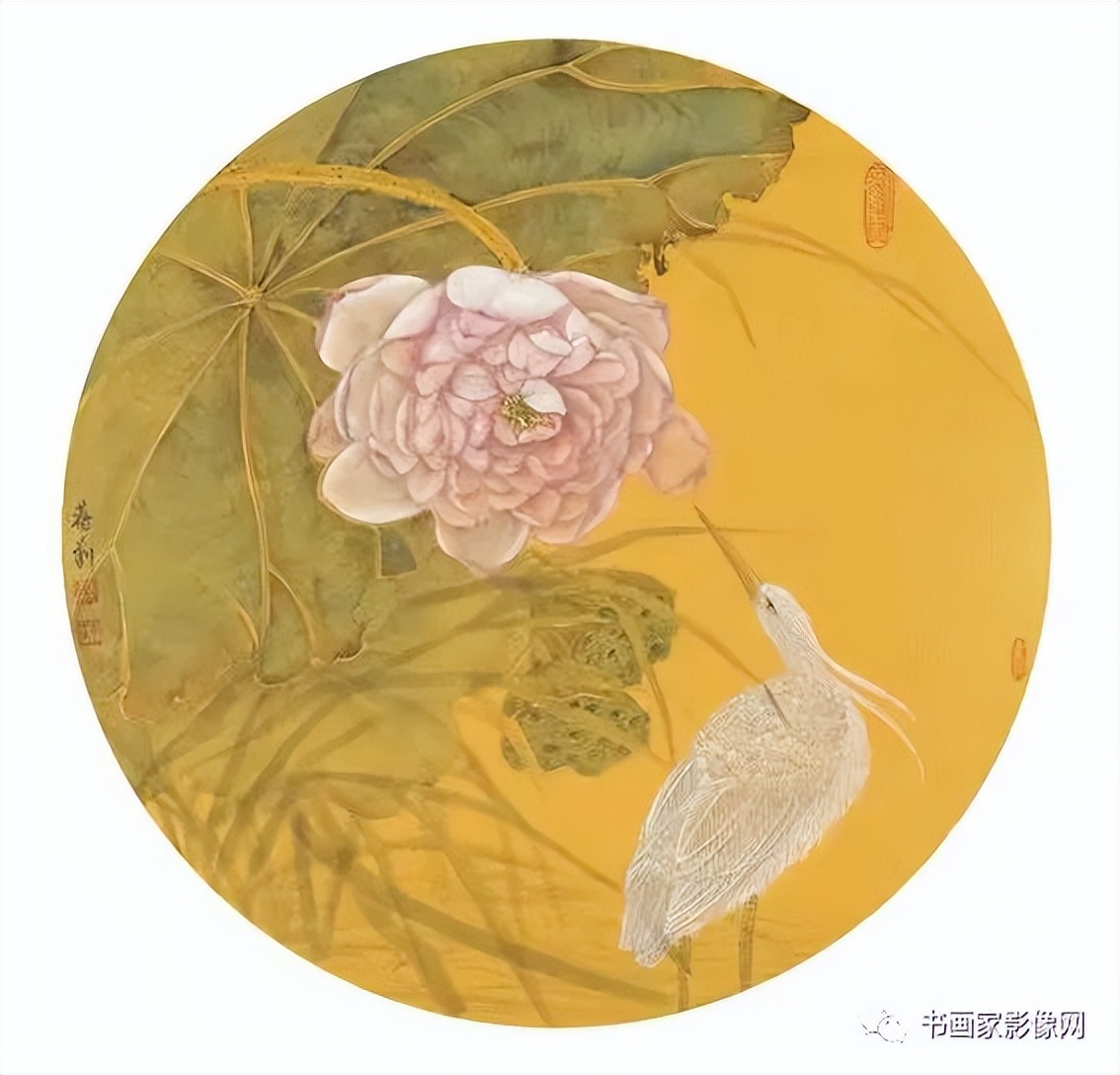 桰⡱ʡҡ