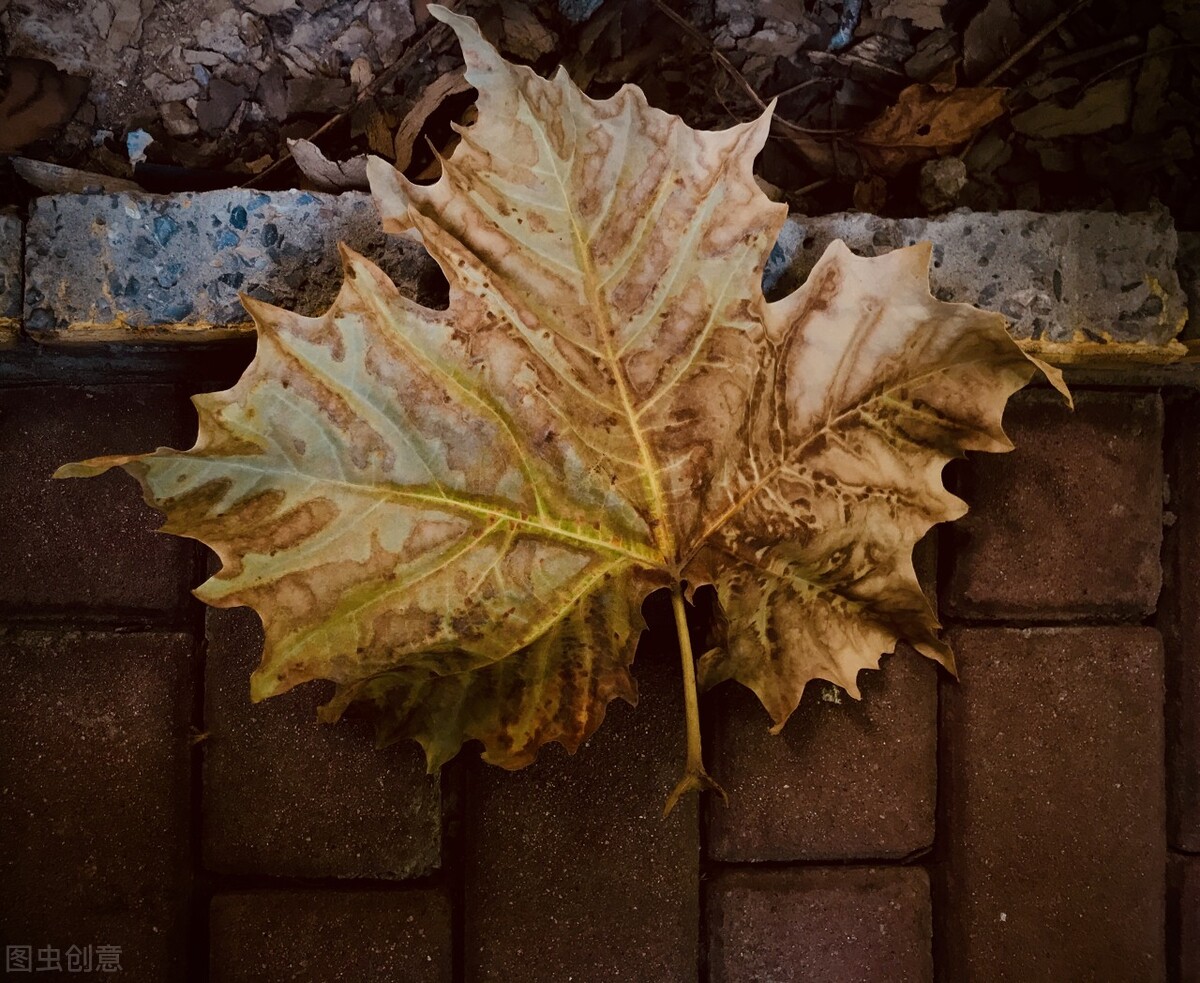 《宽心谣》：日出东海落西山，愁也一天，喜也一天