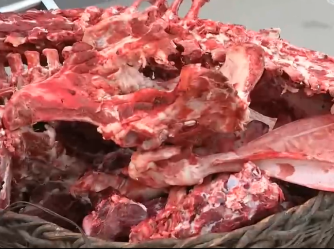 2013年，大哥用10万块创业养公牛，靠着317口大缸，年入2600万