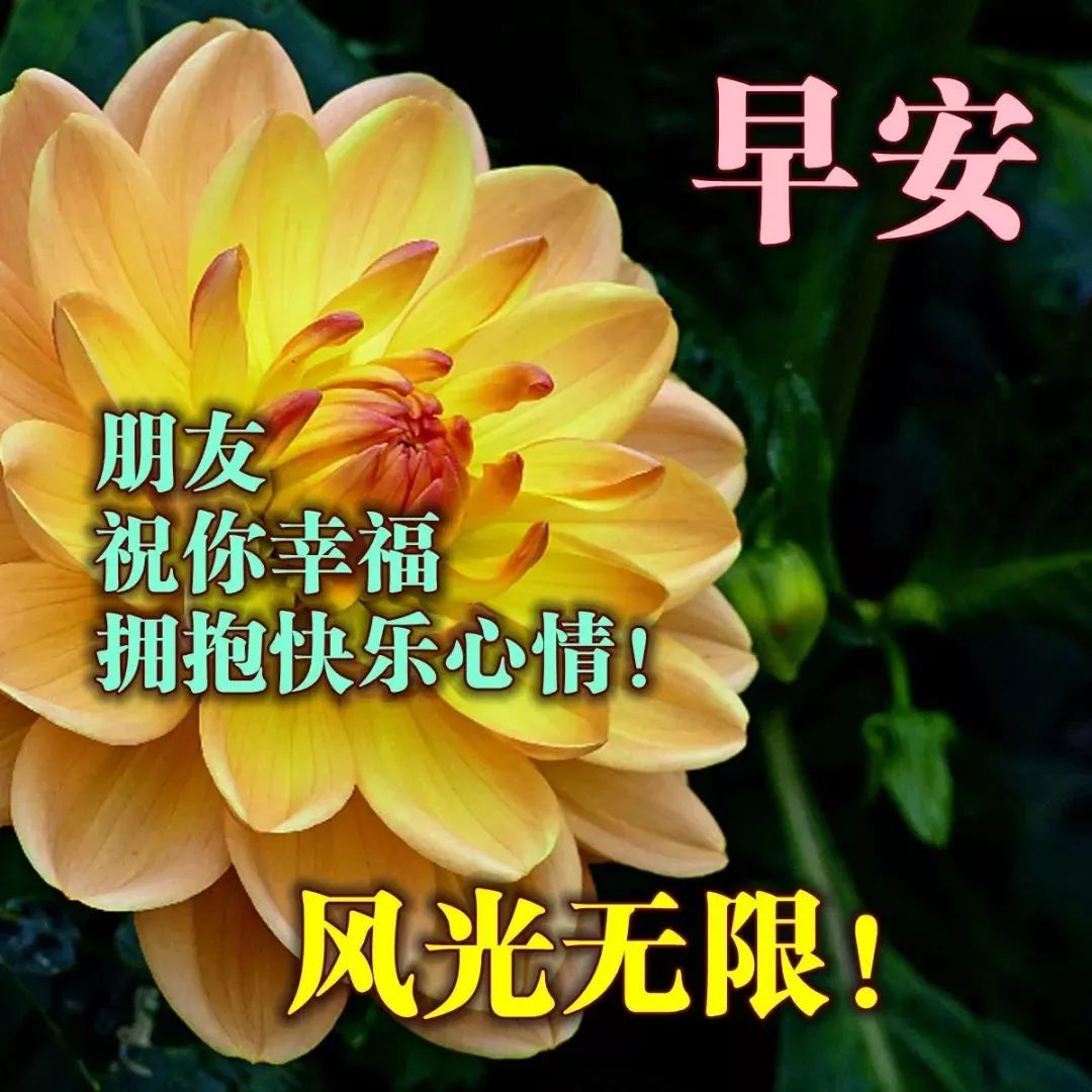 03.06」早安心语,正能量简短的一句话,精美春天早安图片