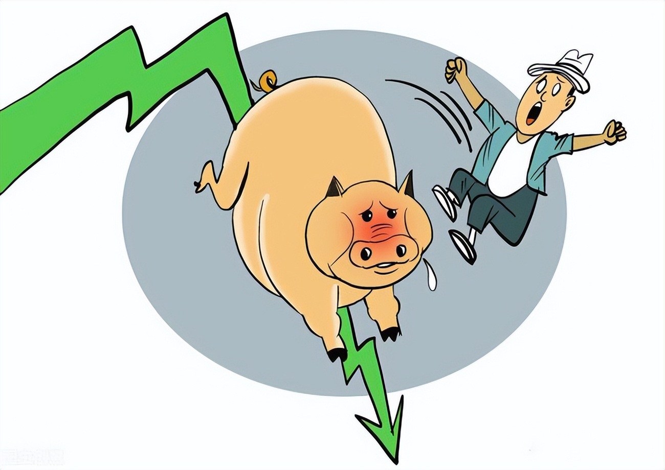 猪价跌势反扑，南北市场“齐刷绿”！10月29日猪价预测