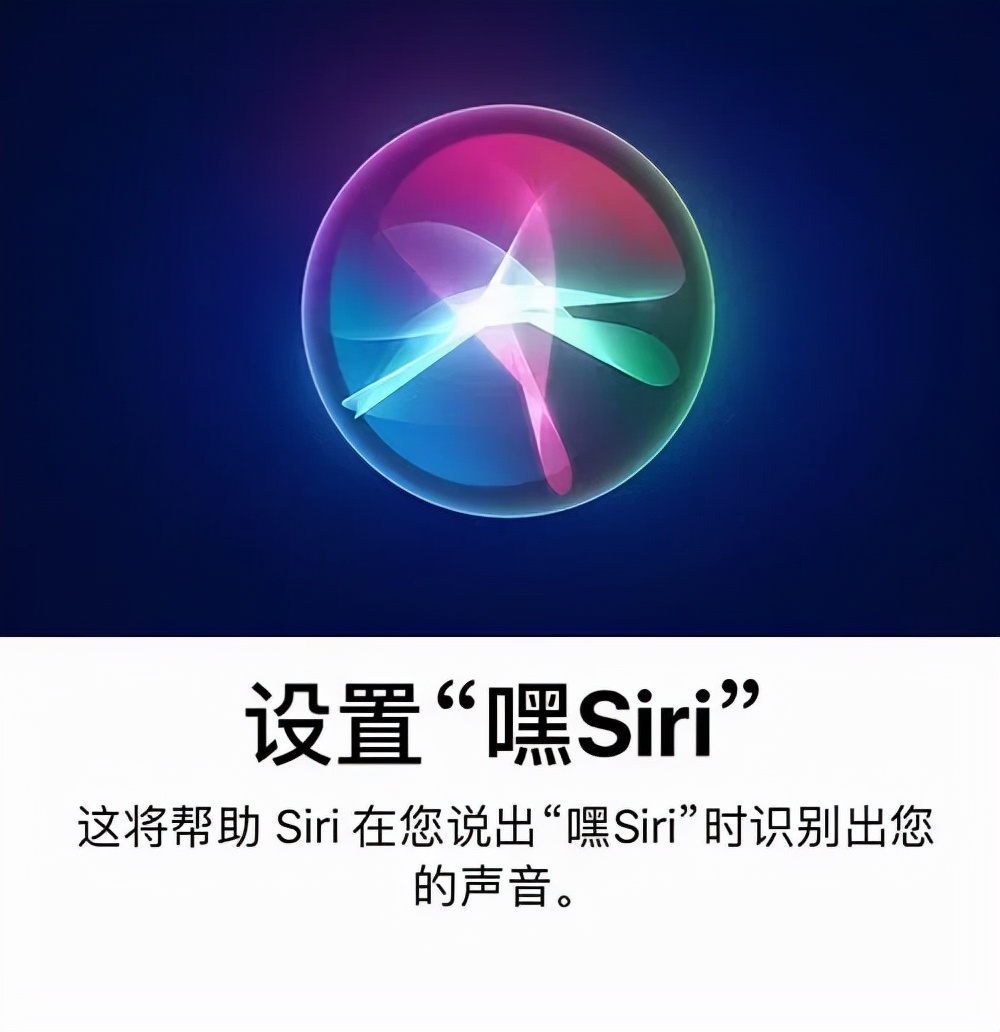 苹果浏览器英文为什么叫safari?siri又是啥意思?