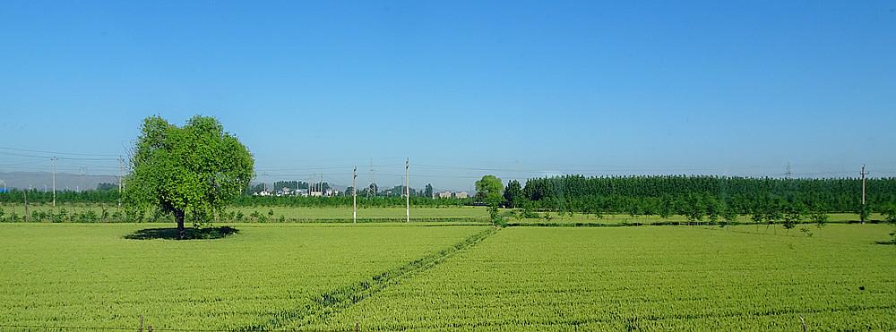 中国面积排名省份（哪一个省最穷）-第2张图片-昕阳网