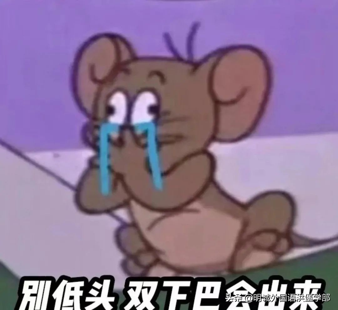 高考后如何申请德国留学？这些避坑指南你一定要了解