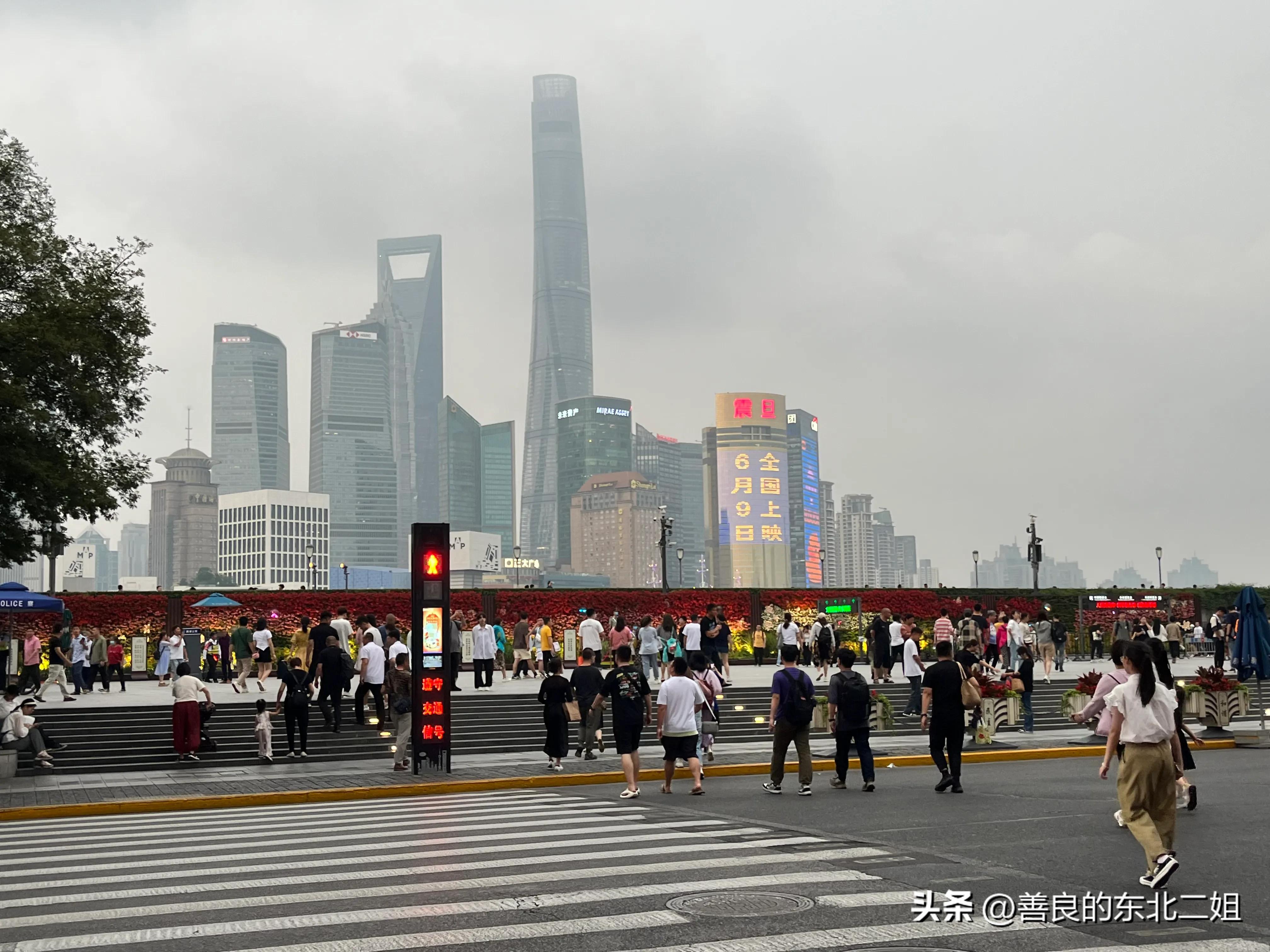 老阿姨和外孙的上海之旅：童眼看上海
