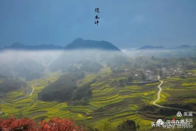 全部免費(fèi)！漢中鄉(xiāng)村賞花攻略出爐！妥妥安排